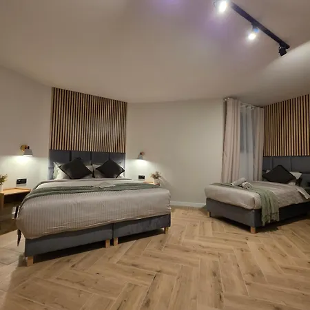 Loft Haven - Loftowe Apartment Trzemeszno